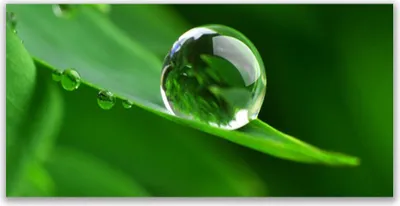 Produktbild von Glasbilder 120x60 Wandbild Druck auf Glas Blatt Wassertropfen Pflanzen