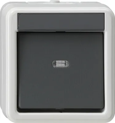 Produktbild von GIRA 010230, Schwarz, Grau, 250 V, 10 A
