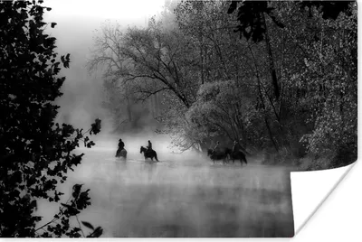 Produktbild von MuchoWow® Poster Pferde - Nebel - Wald 180x120 cm - Fotoplakat