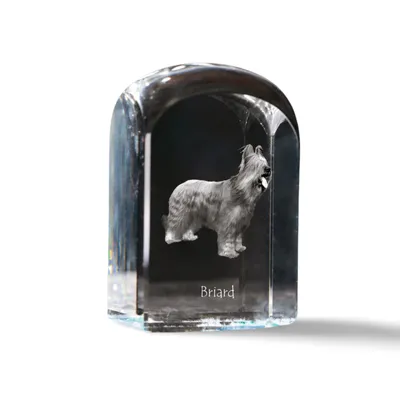 Immagine prodotto di Briard cristallo sigillo sigillo con cane Art-Dog