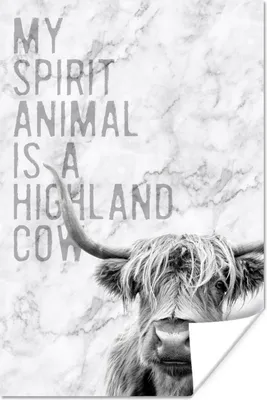 Produktbild von MuchoWow® Poster Schottischer Highlander - Marmor - Zitat 40x60 cm - Plakate für die Wand - Poster Babyzimmer