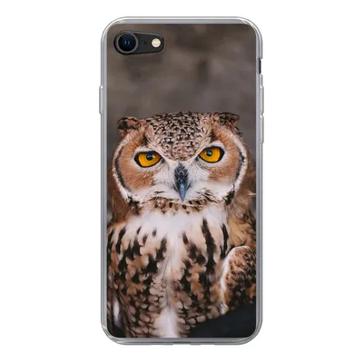 Produktbild von MuchoWow® Handyhülle Schutzhülle Hülle für iPhone 7 Braune Eule schaut direkt in die Kamera Silikon Softcase Handy Hülle - Kartenhalter