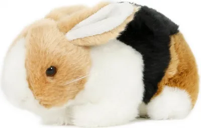 Produktbild von Plüschtier Hase 20 cm, Kaninchen Stofftiere Kuscheltiere Kaninchen Tiere Hasen