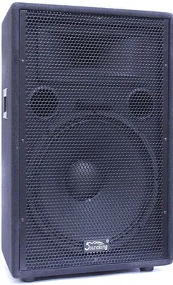 Image de Soundking J 215 Enceinte passive