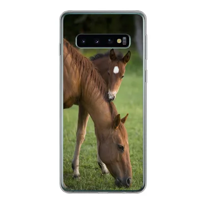 Produktbild von MuchoWow® Handyhülle Schutzhülle Hülle für Samsung Galaxy S10 Pferde - Gras - Porträt Silikon Softcase Handy Hülle - Handytasche