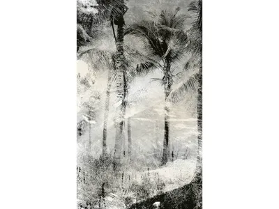 Produktbild von Fototapete - Palm Trees Abstract 150x250cm - Vliestapete