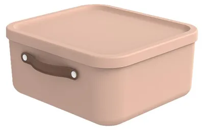 Produktbild von Rotho Aufbewahrungsbox 20 L Maloja - Kunststoffbox mit Deckel - Stapelbox 39,5 x 38,0 x 17,7 cm - Plastikbox Ordnungsbox Allzweckkiste