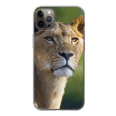 Produktbild von MuchoWow® Handyhülle Schutzhülle Hülle für iPhone 12 Pro Max Porträt - Löwe - Wild Silikon Softcase Handy Hülle - Hartschale