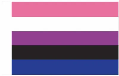 Imagen del producto de Bandera de la comunidad genderfluid, 90 x 150 cm