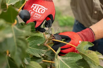 Produktbild von Felco 320 Gartenschere Ergonomisch für Präzises Schneiden
