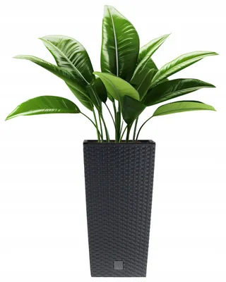 Produktbild von Prosperplast 3er-Set Blumentopf | Rato Square | Anthrazit | 22,5 cm, 24 cm, 26,5 cm