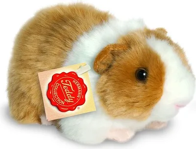 Immagine prodotto di Teddy Hermann Meerschweinchen, Kuscheltier, Stofftier, Plüschtier, Haustier, Plüsch, Gold-Weiß, 20 cm, 92639