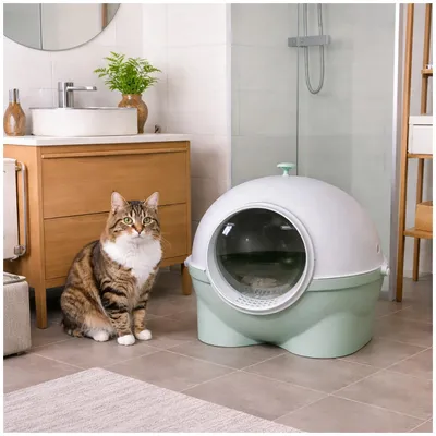 Produktbild von Katzentoilette geschlossen grün weiß mit Schaufel aus Kunststoff