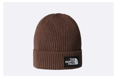 Obrázek produktu pro Čepice The North Face Tnf Logo Box NF0A8CHE1OI