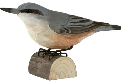 Image de Decobird Sittelle