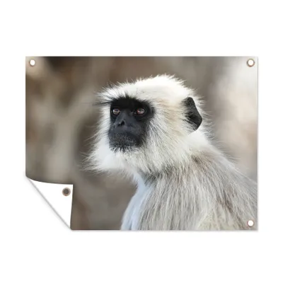 Obrázek produktu pro MuchoWow® Zahradní plakáty - Opice - Příroda - Zvířata - 120x160 cm - Zahradní dekorace