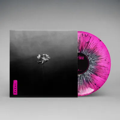 A vinyl record and its sleeve are displayed against a plain background.