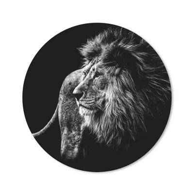Produktbild von MuchoWow® Mauspad Mousepad Tiere - Wild - Löwe - Schwarz - Weiß 20x20 cm - Mousepads - Maus Mat - Pad - Mausunterlage - Schreibtischmatte