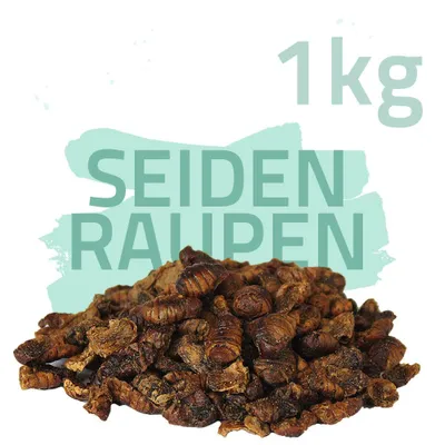 1kg getrocknete Seidenraupen