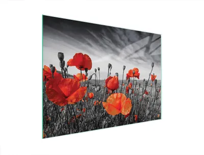 Produktbild von Hygienisches Glas-Schneidebrett 40x30 cm mit Maki-Motiv und rutschfesten Füßen