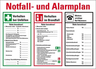 Produktbild von Dreifke® Schild I Notfall- und Alarmplan, mit Piktogrammen, Kunststoff, 700x5...