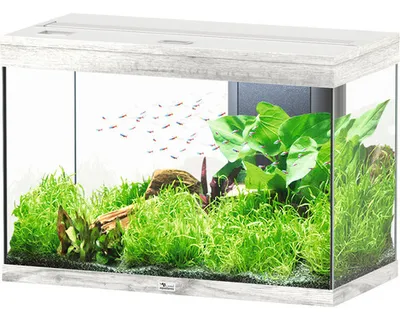 Produktbild von Aquarium aquatlantis Splendid 145 inkl. Beleuchtung, Filter Esche weiß
