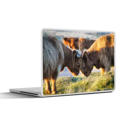 Produktbild von MuchoWow® Laptop Aufkleber Sticker Cover Schottische Highlander - Tiere - Sonne 25x18 cm - Laptop-Deko