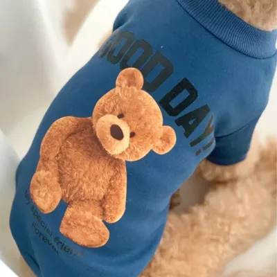 Produktbild von Hund Katze Teddy Süße Kleidung Heimtierbedarf Herbst Und Winter Warme Bichon Falcon Kleidung Fleecepullover-Blau L