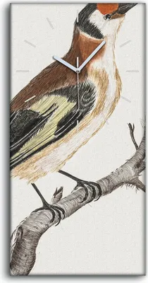 Produktbild von Wanduhr Bürouhr Leinwand Bild Geräuschlos 30x60 Zeichnung Tier Vogel Zweig Kunst - weiße Hände
