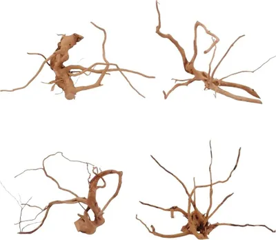 Produktbild von Dekorative Moorkienwurzel 35-50 cm, filigran verzweigt für Aquascaping & Naturaquarien