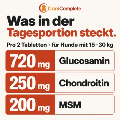 Zdjęcie produktu dla CaniComplete, tabletki wspomagające zdrowie stawów dla psów, zawierające MSM i glukozaminę, 120 sztuk, Obraz wygenerowany przez AI
