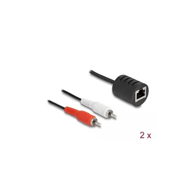 Immagine prodotto di DELOCK Stereo Audio Extender RJ45 Bu zu 2x Cinch St 50m 2 St