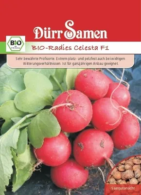 Produktbild von Radies Celesta F1 | -Radieschensamen von Dürr Samen