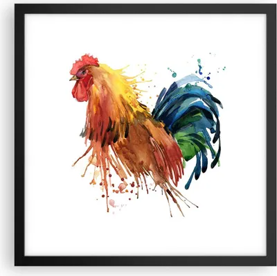 Produktbild von Gerahmtes Poster - Schwarzer Rahmen - Hahn Ilustration Tier Farben - 40x40 cm - Wand Bild - Wanddeko - Wandbilder - Wandposter - Bilderrahmen - Bilder - Kunstdruck - Wandbild - P2BAC40x40-2842