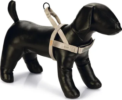Produktbild von Beeztees Parinca Premium Comfort - Premium Hundegeschirr - Nylon -
