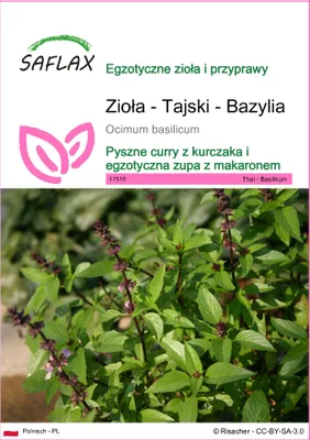 Zdjęcie produktu dla SAFLAX - Zioła - Tajski - Bazylia - 200 Nasiona - Ocimum basilicum