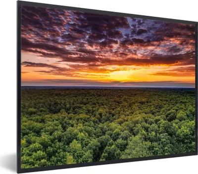 Produktbild von MuchoWow® Gerahmtes Poster Wald - Nacht - Himmel - Horizont - Bäume 80x60 cm - Poster mit Schwarzem Bilderrahmen Wandposter Rahmen Foto Bilder - Schwarzem - Mit Gestell