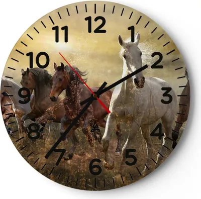 Produktbild von Wanduhr - Rund - Glasuhr - Pferd Tier Natur - 40x40cm - Schleichendes Uhrwerk - Lautlos - zum Aufhängen bereit - Dekoration Modern - Wanddekoration aus Glas - C4AR40x40-3640