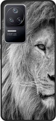 Produktbild von König Design Hülle kompatibel mit Xiaomi Poco F4 Kunststoff Soft Handyhülle - Handy Case Löwe