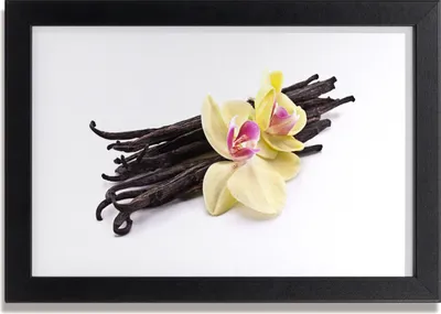 Produktbild von Bild 30x20 MDF-Rahmen Wandkunst Blumen Pflanzen Natur