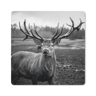 Produktbild von MuchoWow® Mauspad Mousepad Tiere - Hirsch - Geweih - Schwarz und weiß - Natur 20x20 cm - Mousepads - Maus Mat - Pad - Mausunterlage - Desk Mat - Bureauartikeln