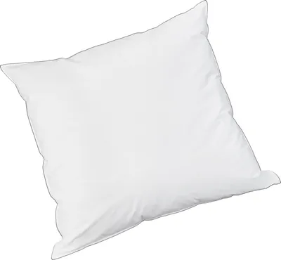 Produktbild von Badenia Trendline Princess 80x80 cm Daunen-Kopfkissen