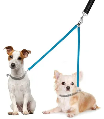 Produktbild von Doppelleine für 2 Hunde, 1,5 cm breit, 45 cm lang, Blau