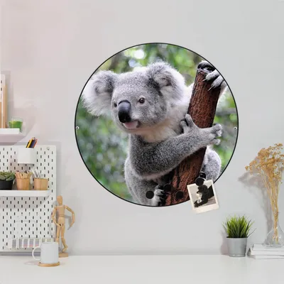 Produktbild von Design Stahlmagnettafel Schwarz Rund 47cm Koala