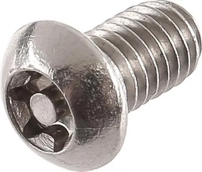 Immagine prodotto di Vite a testa piatta, Torx con perno M6x10 - DIN7380