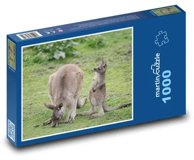 Produktbild von Puzzle 1000 Känguru-Familie auf der Wiese - martinpuzzle