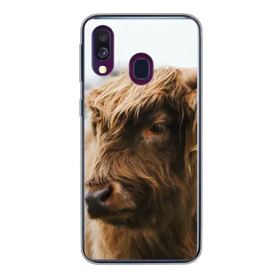 Produktbild von MuchoWow® Handyhülle Schutzhülle Hülle für Samsung Galaxy A40 Schottischer Highlander - Tiere - Hörner Silikon Softcase Handy Hülle - Handy-Tasche