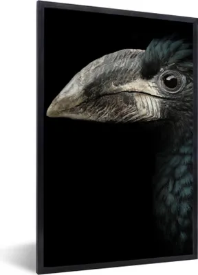 Produktbild von MuchoWow® Gerahmtes Poster Vogel - Porträt - Hornvogel - Schwarz - Tiere 60x90 cm - Poster mit Schwarzem Bilderrahmen Wandposter Rahmen Foto Bilder - Kunst