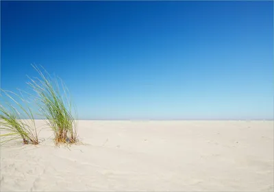 Produktbild von Wallario selbstklebendes Poster - Sandstrand unter blauem Himmel, Größe: 70 x 100 cm