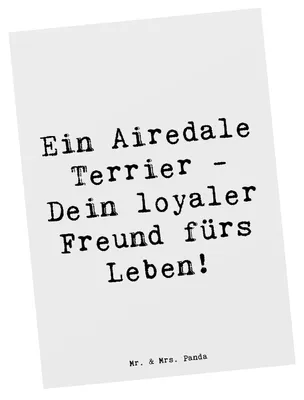 Produktbild von Mr. & Mrs. Panda Postkarte Spruch Airedale Terrier - Weiß - Geschenk, bildkarte, Hunderassen, Postkarten, Polizeihund, fürs Leben, Ansichtskarten, vierbeiniger Freund